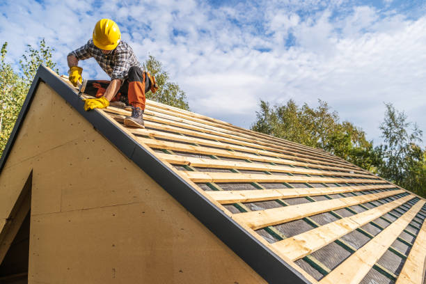 Best Roof Gutter Cleaning  in Kaloko, HI